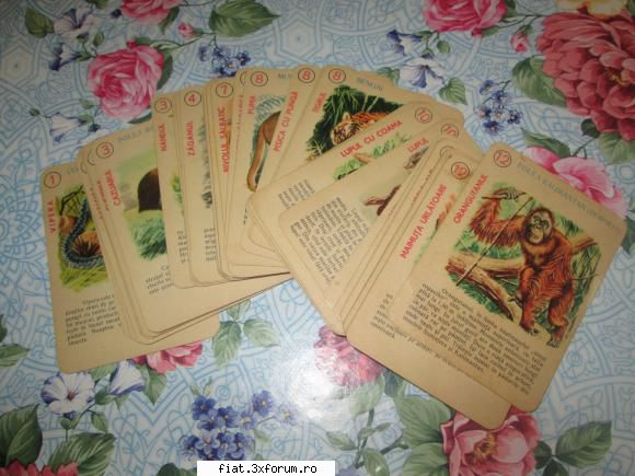Jucarii Tabla sau Plastic (RO, DDR, USSR, Japonia, China) - Joc Animale din continente. 100 - Classic corner