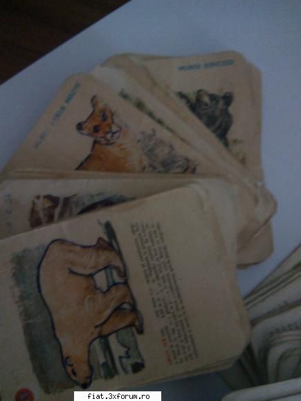 Jucarii Tabla sau Plastic (RO, DDR, USSR, Japonia, China) - Cărți de joc 30 lei - Classic corner