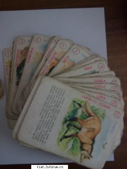 Jucarii Tabla sau Plastic (RO, DDR, USSR, Japonia, China) - evolio - Classic corner