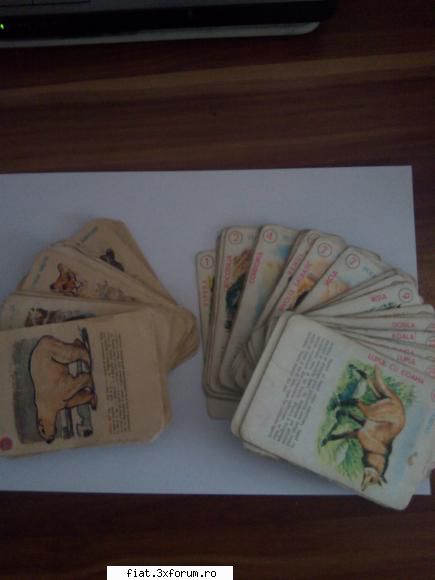 Jucarii Tabla sau Plastic (RO, DDR, USSR, Japonia, China) - evolio - Classic corner