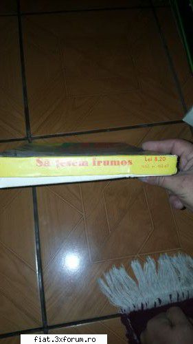 Jucarii Tabla sau Plastic (RO, DDR, USSR, Japonia, China) - laurentiucaldare - Classic corner