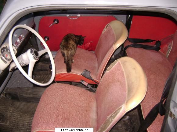 "Jurnal de bord" - husele usilor si "raftul de sub bord eu l-am - Club Fiat 500 & 600