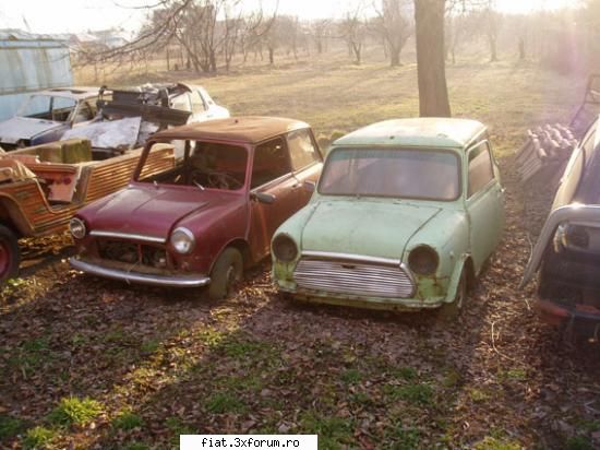 Masini vechi de vanzare - Vand 2 Mini unul 1964, altul 1968 cu toate - Classic corner
