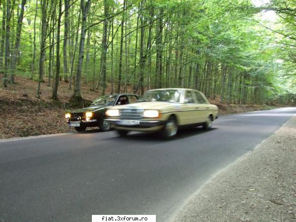 Mercedes W123, 230 E, automatic - citroends21 - Alte marci