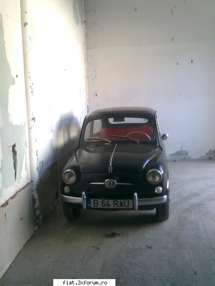 Mi-am dus buburuza la iernat. - Si ii cam place - Club Fiat 500 & 600