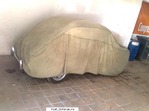 Mi-am dus buburuza la iernat. - ieri m-am dus iar la ea - Club Fiat 500 & 600