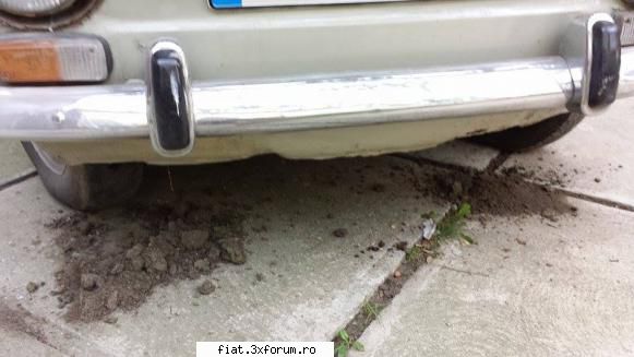 Optcincizero :) - Observasem de la inceput ca in coltul dreapta - Club Fiat 850