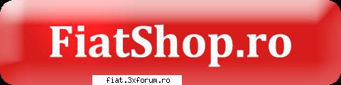 Pachet revizie completa, schimb ulei - Pachet Revizie Completa Fiat - preturi incepand - Bursa