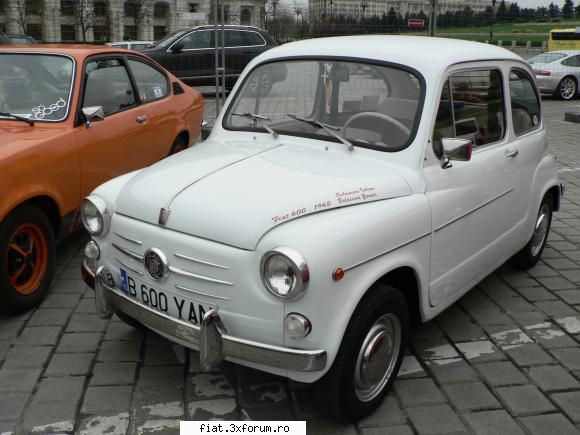 Parada floriilor - coupe - Classic corner
