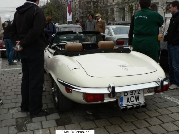 Parada floriilor - coupe - Classic corner