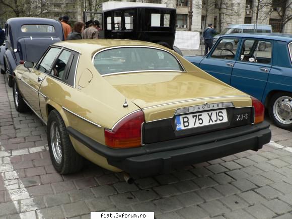 Parada floriilor - coupe - Classic corner