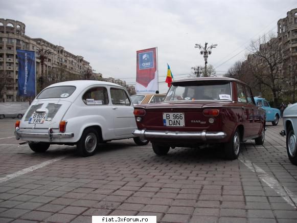 Parada floriilor - danielomihai - Classic corner