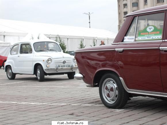 Parada floriilor - danielomihai - Classic corner