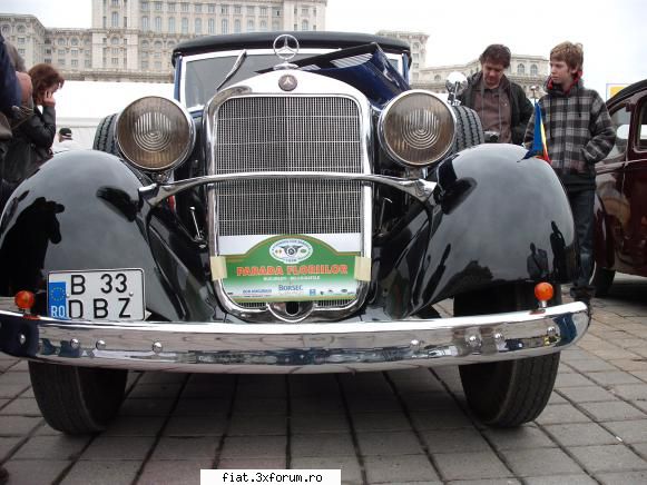 Parada floriilor - danielomihai - Classic corner
