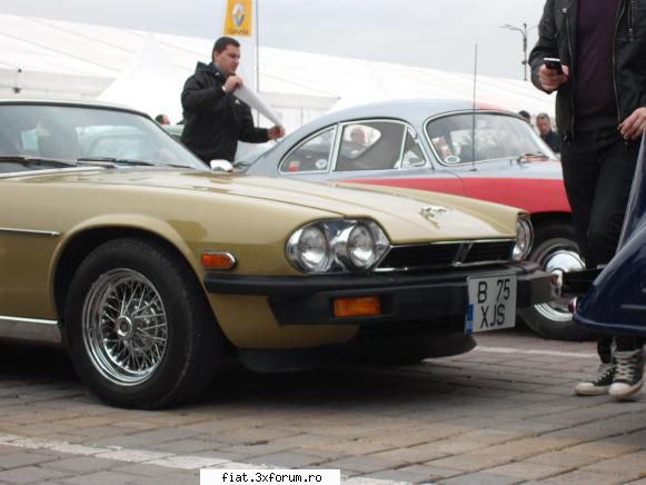 Parada floriilor - danielomihai - Classic corner