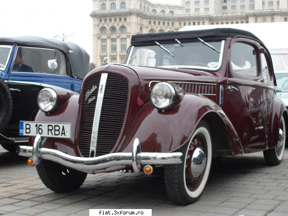 Parada floriilor - danielomihai - Classic corner