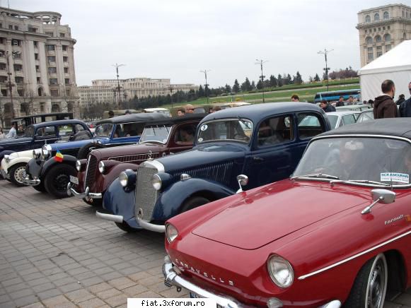Parada floriilor - danielomihai - Classic corner
