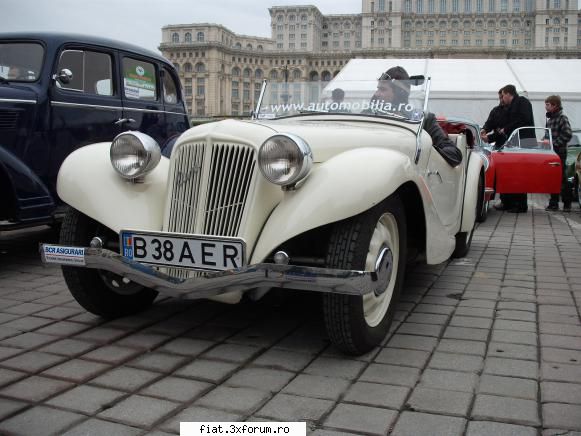Parada floriilor - danielomihai - Classic corner