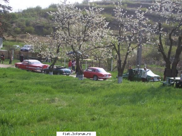 RETRoparada primaverii-Raidul Drumul vinului 2009 - p.ady - Classic corner