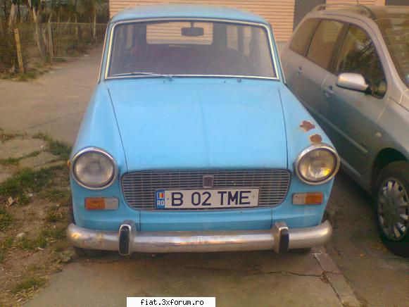 "Rable" ce pot fi salvate de pasionati - Asa cum m-am obisnuit sa ma plimb si am gasit - Bursa