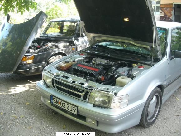 Saab - gergosaab - Alte marci