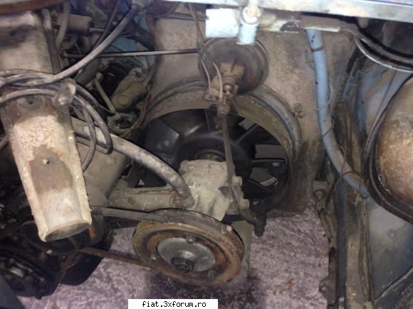 Se dezmembreaza Fiat 850 - Tudor Oancea - Bursa