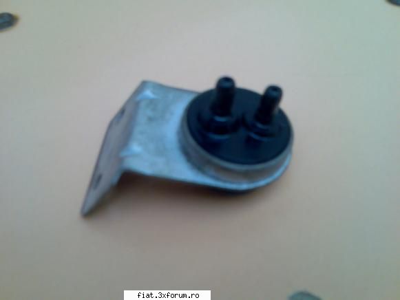 Un nou membru - si verso... scuze pt sharf-ul pozelor ...:D - Club Fiat 850