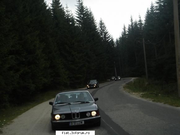 Un zimbru...si trei rechini - tot Sibiu-Paltinis, rechini in coloana...i - Alte marci