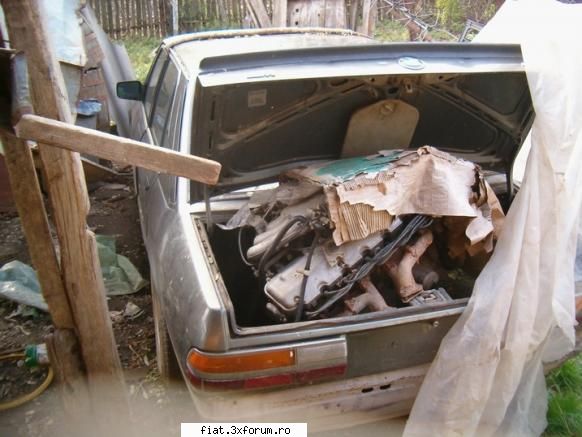 Un zimbru...si trei rechini - sau pe bucati...tu sti, motor nou refacut in - Alte marci