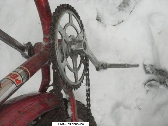 Vand bicicleta Pegas si piese - michelinni - Anunturi