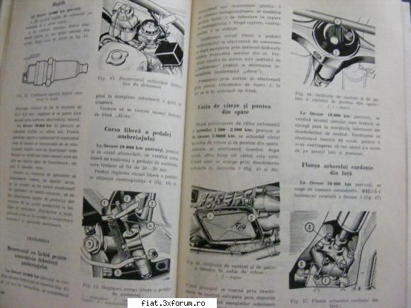 Vand carte - Intretinere Lada - evolio - Anunturi