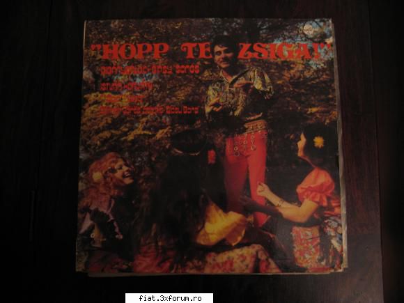 Vand discuri vinil - Hopp te Zsiga - muzica tiganeasca - 30 lei - Classic corner