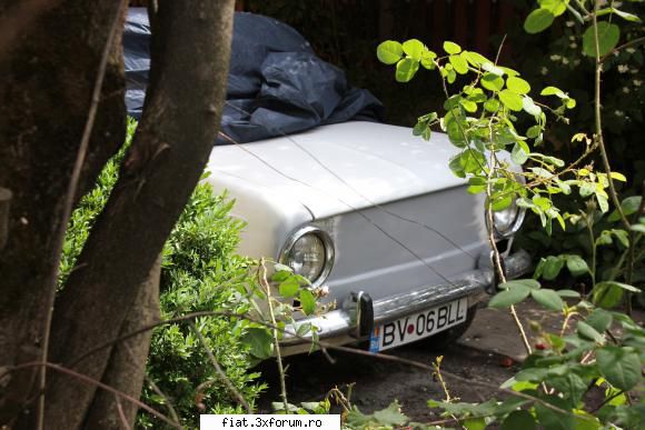 Vand fiat % restaurat - Fata aproape complet terminata - Club Fiat 850