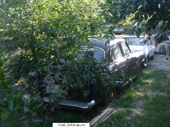 Volga 24 reloaded - Nu e a mea, e a unui domn care m-a ajutat EXTREM - Alte marci