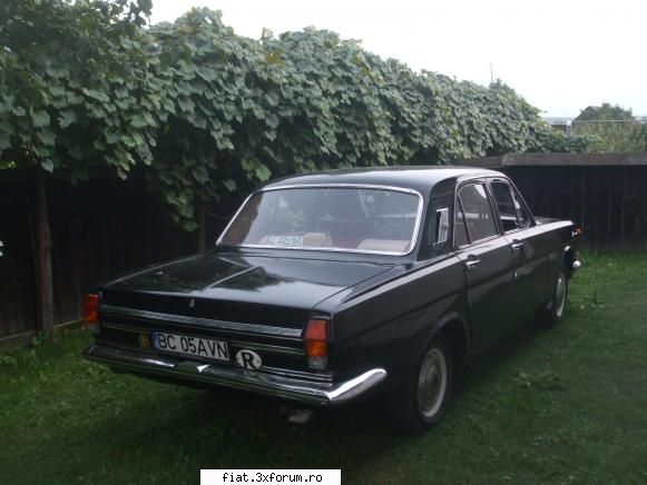 Volga 24 reloaded - va functiona bine ... in curand! Trebuie sa - Alte marci