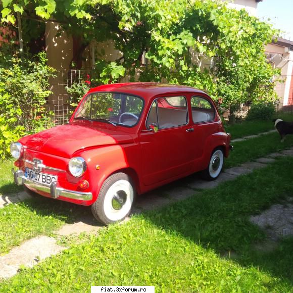 a inceput sa prinda viata - toarce ca o pisica - Club Fiat 500 & 600