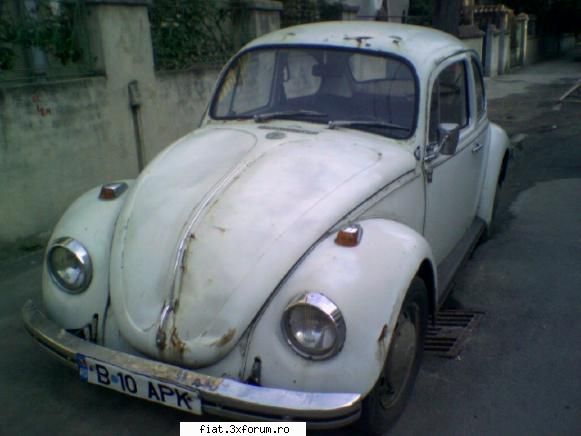 broasca mea - rarescristea - Alte marci