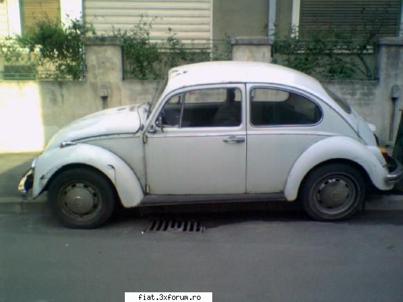 broasca mea - rarescristea - Alte marci