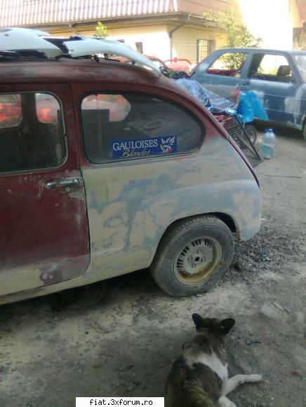 e mic si rosu dar a revenit la viata . - inca una + paznicu fidel - Club Fiat 500 & 600