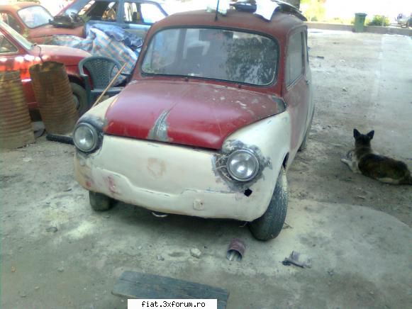 e mic si rosu dar a revenit la viata . - incepea sa fie mai vesela :) - Club Fiat 500 & 600