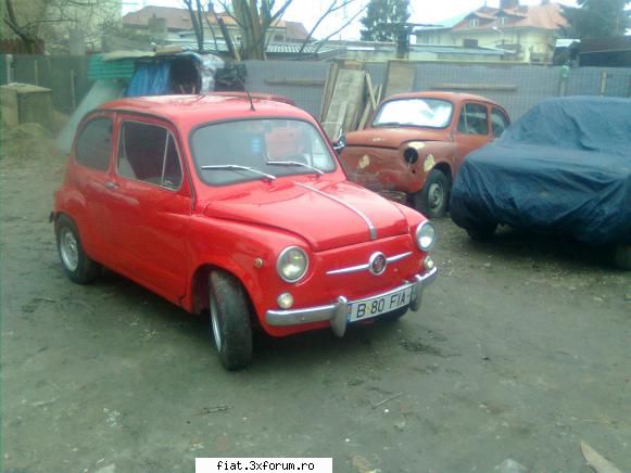 e mic si rosu dar a revenit la viata . - am incercat sa scot si pe alti la o plimbare - Club Fiat 500 & 600