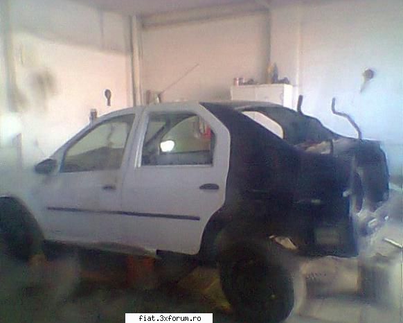 execut mecanica vopsitorie