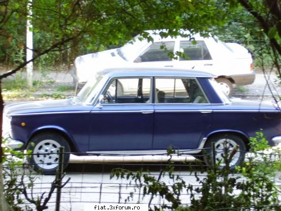 fiat 1300 `64 - profil...pe `14 - Club Fiat 1300&1500