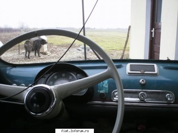 fiat 600 D - Sunt incepator, sunt de prima oara proprietar de - Club Fiat 500 & 600