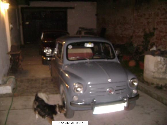 fiat 600 D, 1965 ! ! ! - putin mai tarziu...aici o vedeti pe dragalasa de - Club Fiat 500 & 600