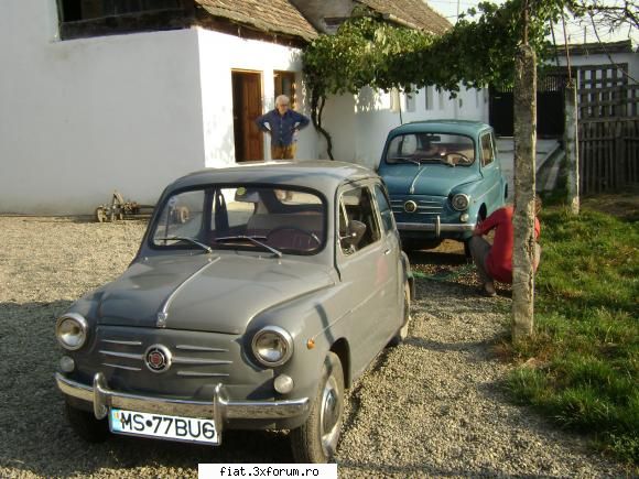 fiat 600 D, 1965 ! ! ! - Carei mai faina?? Eu sincer nu ma pot decide Cam - Club Fiat 500 & 600