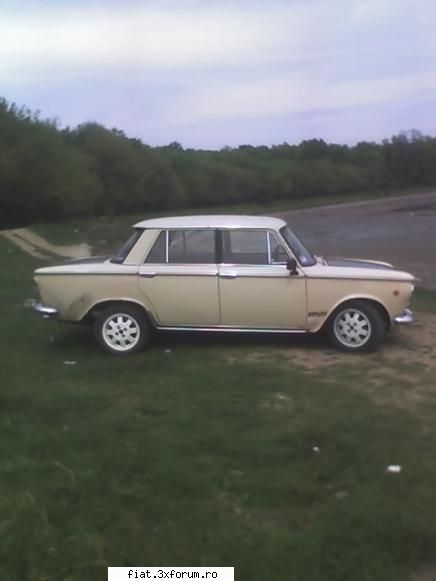 fiatu meu - sasha - Club Fiat 1300&1500