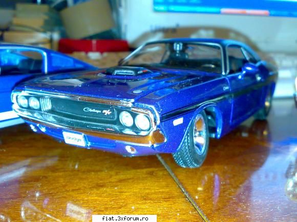 frumuseti suprinse nu tocmai in trafic :) - 2 noi achizitii : dodge chalenger '70 - Discutii libere