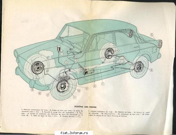 manuale auto diverse - manual fiat 1100d - Classic corner