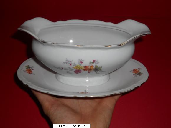 obiecte vechi - Sosiera Portelan Fin EPIAG D.F. Czechoslovakia - Classic corner